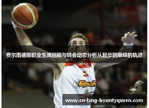 费尔南德斯职业生涯回顾与转会动态分析从起步到巅峰的轨迹